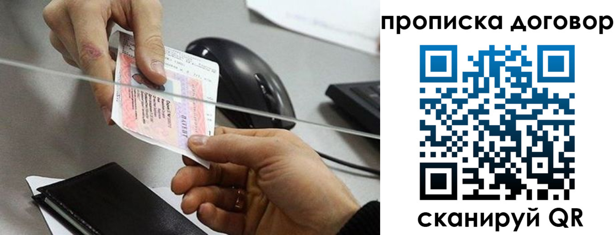 прописка поиск в Невеле